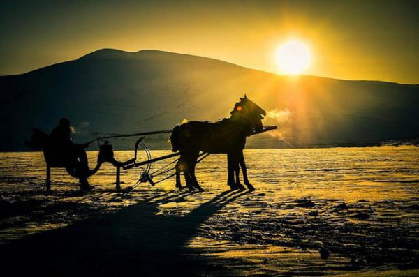Ardahan