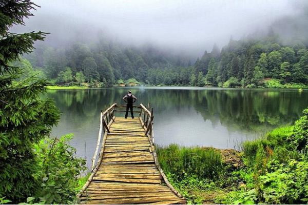 Artvin