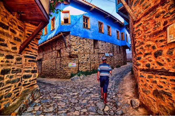 Bursa
