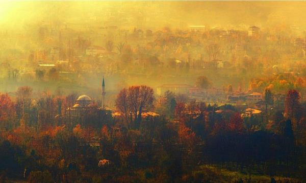 Kocaeli
