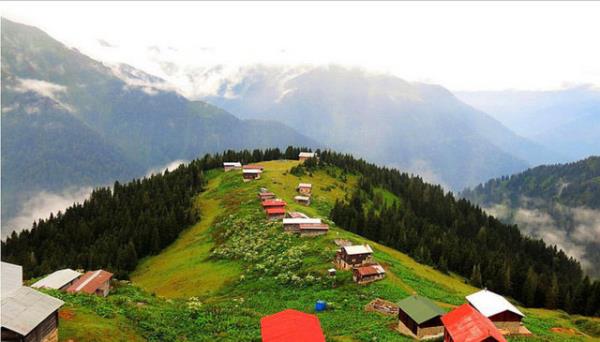 Rize