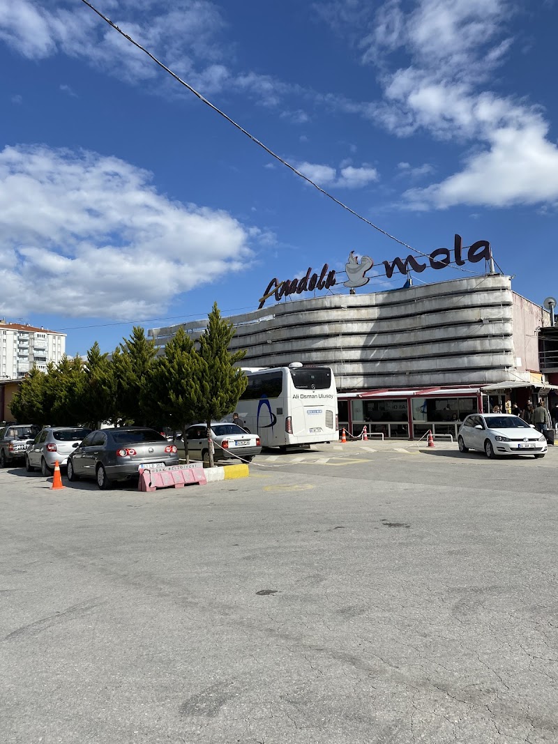 Anadolu Mola