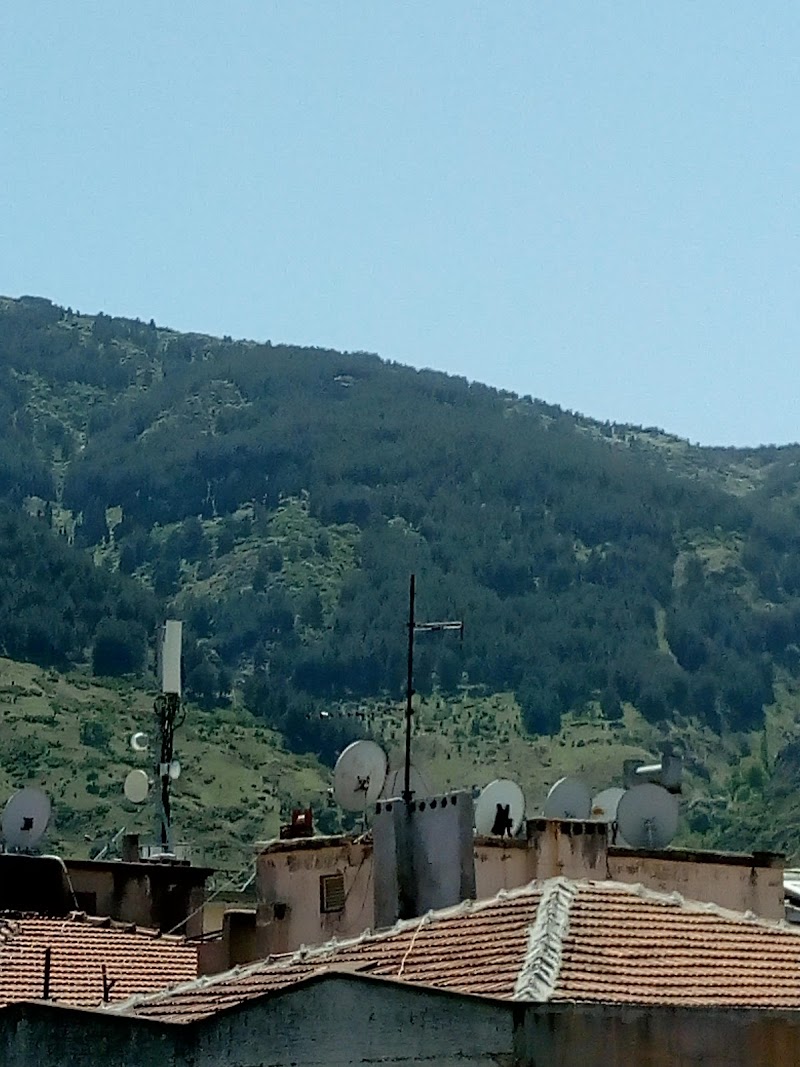 Hotel Arma
