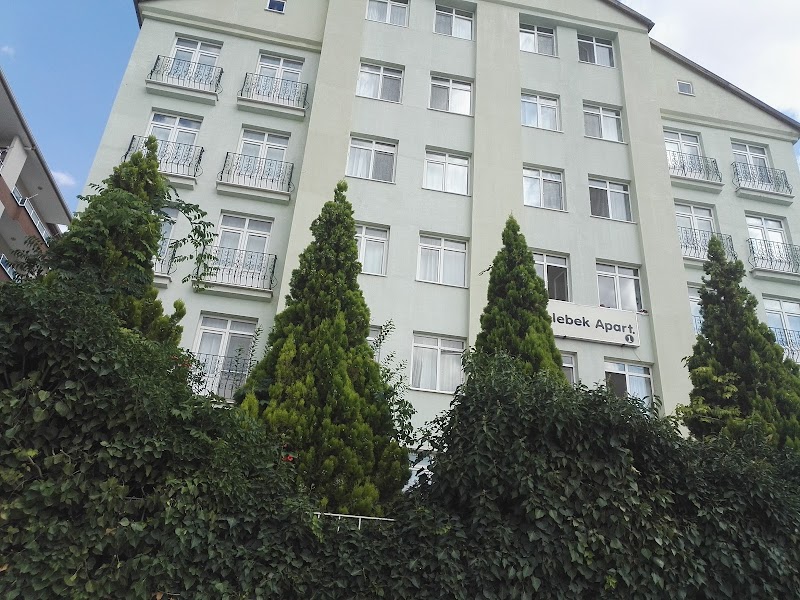 Kelebek Apart