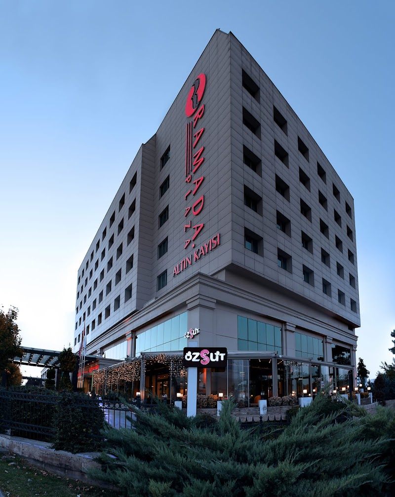 Ramada Plaza Malatya Altin Kayisi Otel