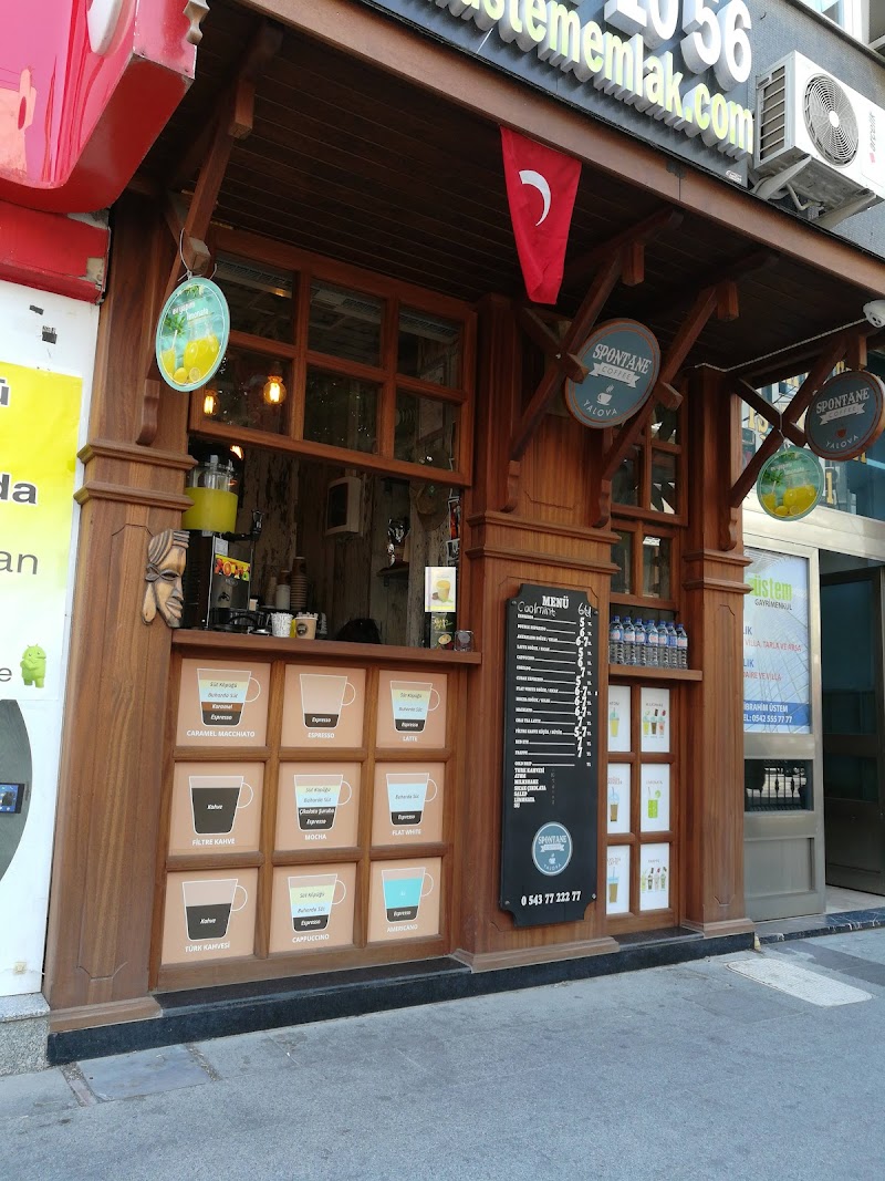 Spontane Coffee