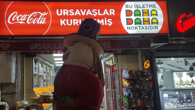 URSAVAŞLAR KURUYEMİŞ