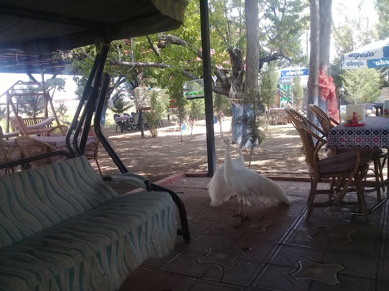 Yeşil Bahçe Mantı ve Köfte evi