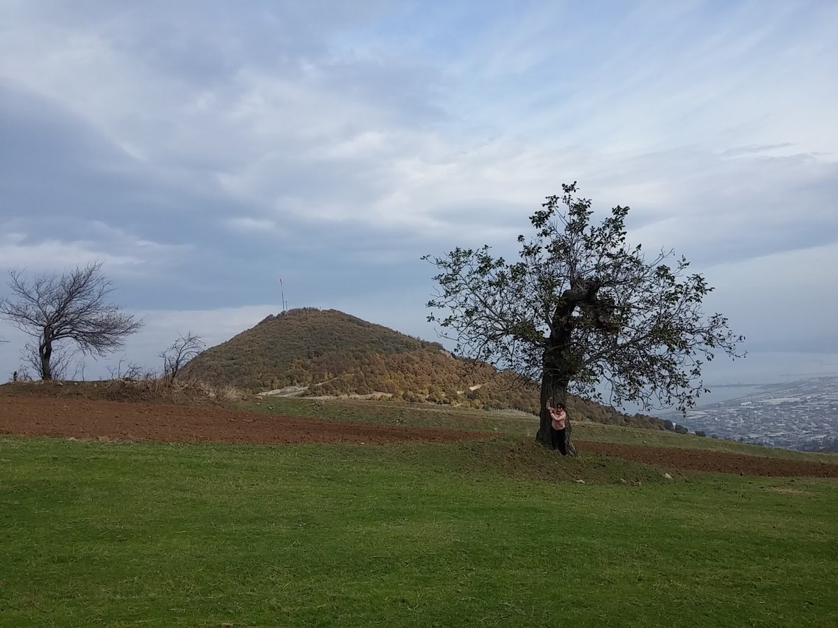 Samsun'un Zirvesindeki Hazine: Tarih, Doğa ve Manzaranın Buluştuğu Yer Bayrak Tepe Tabiat Parkı